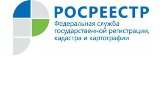 В августе пройдут вебинары Федеральной кадастровой палаты
